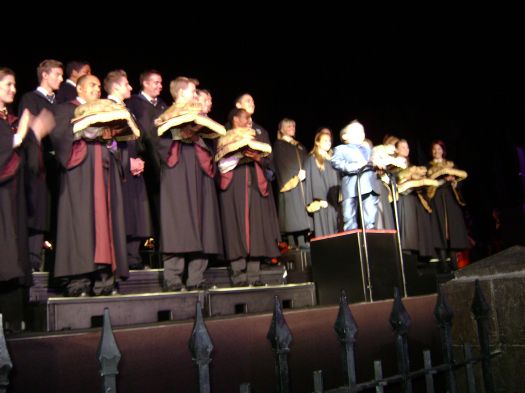 The Frog Choir
Credit: Bserlori
