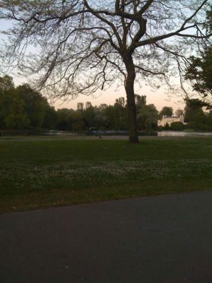 Hyde Park
