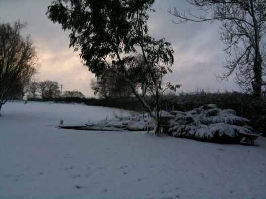 "The garden snow shot. Pond frozen! Fish cold x"
